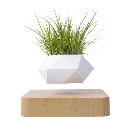 Magnetic Levitation Polygonal Wood Grain Potted Plant