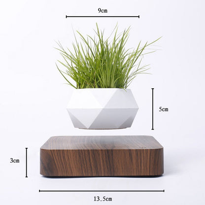 Magnetic Levitation Polygonal Wood Grain Potted Plant