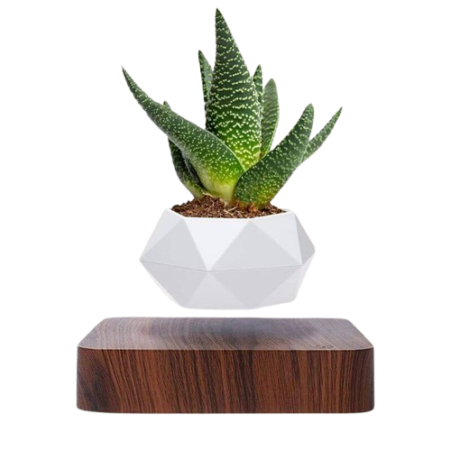 Magnetic Levitation Polygonal Wood Grain Potted Plant