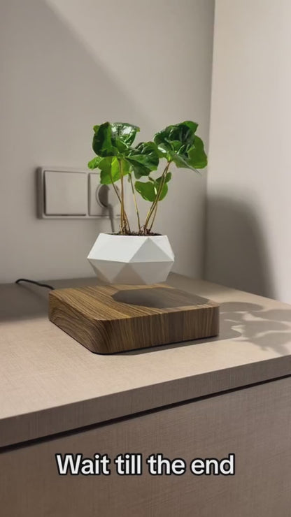 Magnetic Levitation Polygonal Wood Grain Potted Plant